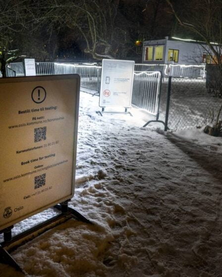 La Norvège a enregistré 299 nouveaux cas corona au cours des dernières 24 heures infectées 8 La Norvège a enregistré 299 nouveaux cas corona au cours des dernières 24 heures infectées - 7