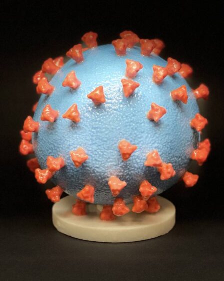 Institut de santé: jusqu'à présent, 506 cas de virus britannique muté ont été détectés en Norvège 23 Institut de santé: jusqu'à présent, 506 cas de virus britannique muté ont été détectés en Norvège - 22