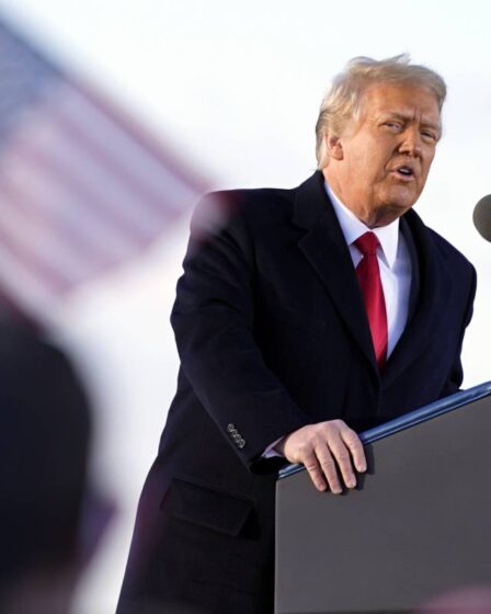 Donald Trump acquitté dans une affaire de destitution: "La plus grande chasse aux sorcières de l'histoire" 2 Donald Trump acquitté dans une affaire de destitution: "La plus grande chasse aux sorcières de l'histoire" - 1