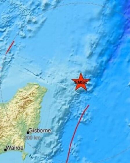 Un avertissement au tsunami publié après un puissant tremblement de terre a frappé la Nouvelle-Zélande 5 Un avertissement au tsunami publié après un puissant tremblement de terre a frappé la Nouvelle-Zélande - 4