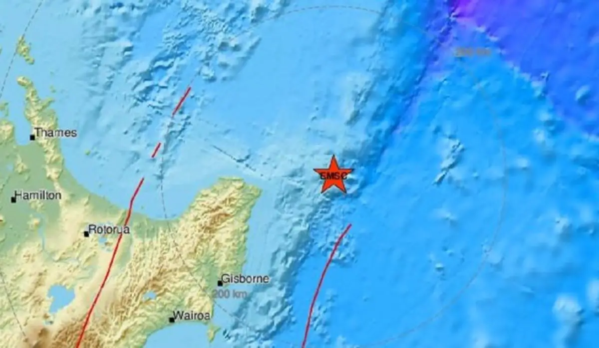 Un avertissement au tsunami publié après un puissant tremblement de terre a frappé la Nouvelle-Zélande - 3