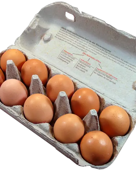 Les chefs olympiques ont commandé 1500 œufs, 15000 - 29