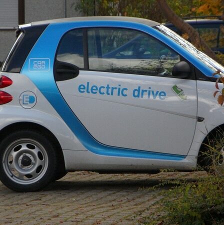 Plus de la moitié de toutes les voitures vendues en 2020 seront électriques, selon les importateurs de voitures - 19