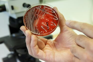 Environ 70 personnes meurent chaque année de bactéries résistantes en Norvège - 18