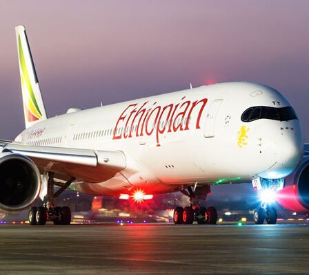 Ethiopian Airlines a percuté un mât léger à l'aéroport d'Oslo - 19