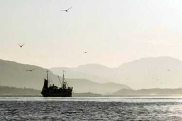 La Norvège alloue 40 millions de couronnes pour un meilleur contrôle des pêcheries - 20