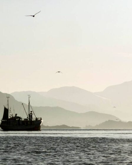 La Norvège alloue 40 millions de couronnes pour un meilleur contrôle des pêcheries 8 La Norvège alloue 40 millions de couronnes pour un meilleur contrôle des pêcheries - 7