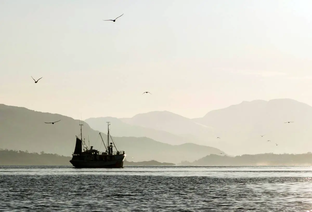 La Norvège alloue 40 millions de couronnes pour un meilleur contrôle des pêcheries 4 La Norvège alloue 40 millions de couronnes pour un meilleur contrôle des pêcheries - 3