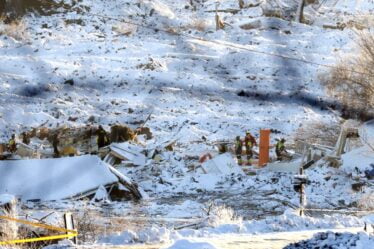 Les équipes de secours tentent de sauver les animaux coincés dans la zone de glissement de terrain de Gjerdrum - 16