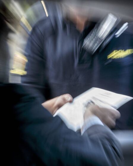 La Norvège resserre les exigences après un pic de faux tests corona 11 La Norvège resserre les exigences après un pic de faux tests corona - 10