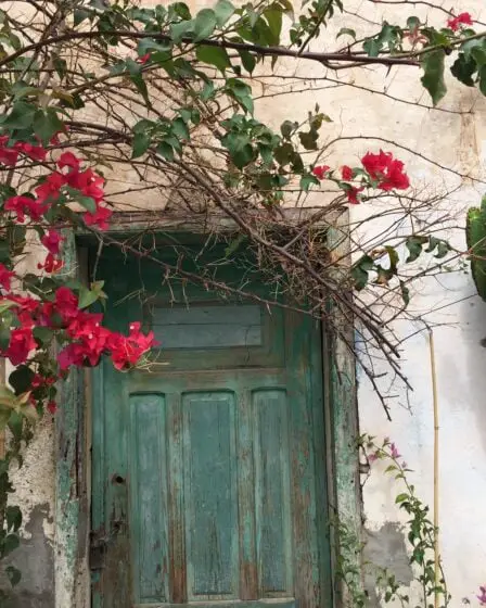 Ving dans une nouvelle collaboration - Norway Today 29 Ving dans une nouvelle collaboration - Norway Today - 28