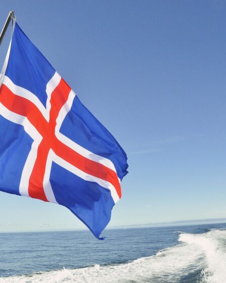 "Les dirigeants islandais n'assisteront pas à la Coupe du monde de football en Russie cet été" 19 "Les dirigeants islandais n'assisteront pas à la Coupe du monde de football en Russie cet été" - 18
