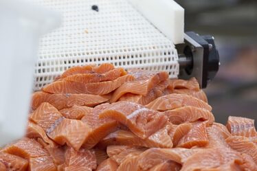 La peur des virus enlève le saumon norvégien des étagères à Pékin - 20