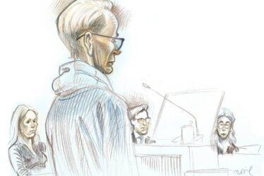 Laila Anita Bertheussen condamnée à un an et huit mois de prison pour atteinte à la démocratie - 16