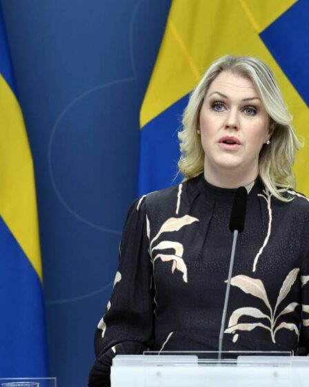 Ministre suédois sur la pandémie: "Il est difficile d'être accusé d'avoir tué 12 000 personnes" - 27