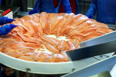 Les exportations norvégiennes de fruits de mer égalent les records de juillet - malgré une situation difficile sur les marchés - 18