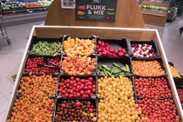 Les récoltes de fruits en Norvège en baisse de 40% par rapport à l'année dernière - 16