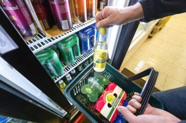 Augmentation des ventes de «Rusbrus» en Norvège - 19