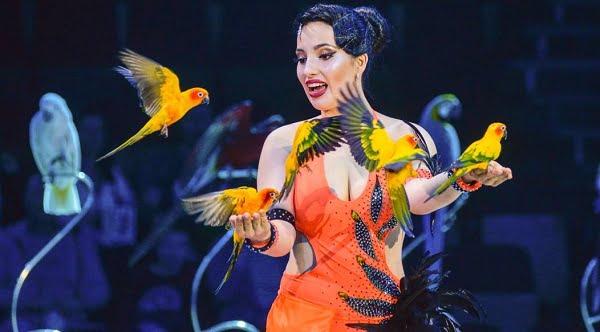 L'industrie du cirque norvégienne se bat pour sa survie 6 L'industrie du cirque norvégienne se bat pour sa survie - 5