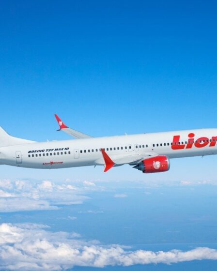 Boeing admet des erreurs dans le logiciel du simulateur MAX 8 5 Boeing admet des erreurs dans le logiciel du simulateur MAX 8 - 4
