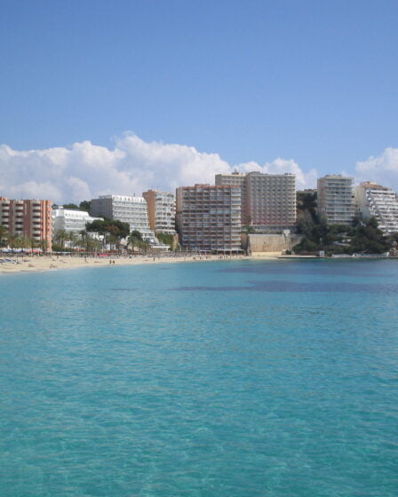 Ibiza veut interdire l'alcool à bord 11 Ibiza veut interdire l'alcool à bord - 10