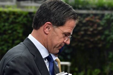 Tout le gouvernement néerlandais démissionne après un énorme scandale sur les allocations familiales - 16