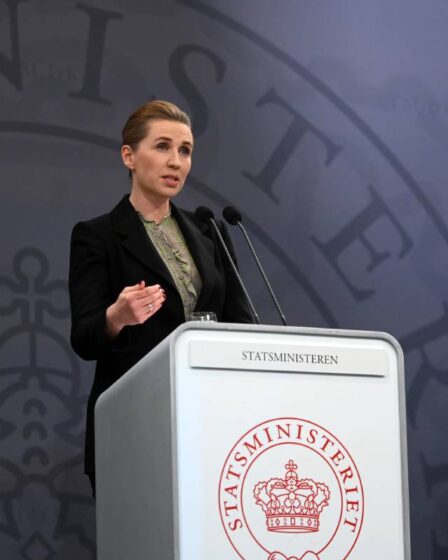 Les Danois doivent tester la corona deux fois par semaine, les autorités disent: "C'est un contrat social" 14 Les Danois doivent tester la corona deux fois par semaine, les autorités disent: "C'est un contrat social" - 13