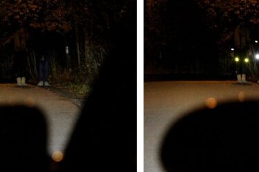 L'obscurité de l'automne peut être fatale - faites un réflexe! - 20