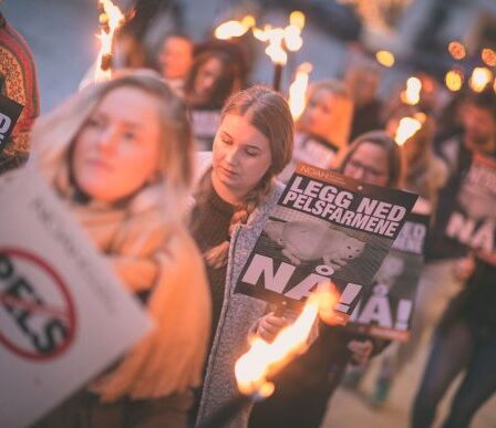 Diversité politique en marche contre la fourrure 12 Diversité politique en marche contre la fourrure - 11