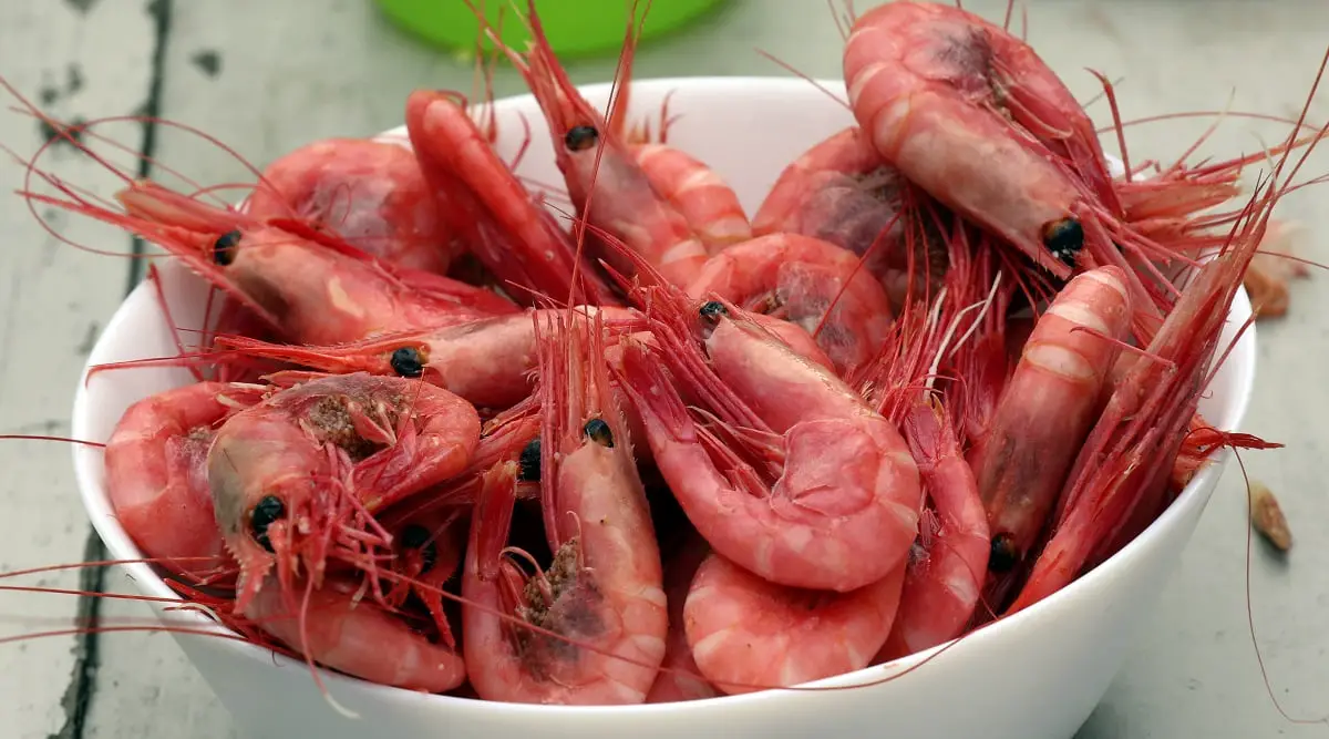 Les exportations norvégiennes de fruits de mer dépassent le record de l'année dernière 4 Les exportations norvégiennes de fruits de mer dépassent le record de l'année dernière - 3