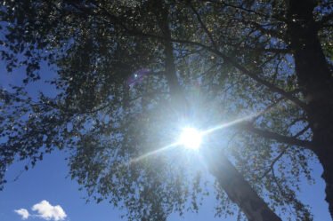 Beau temps d'été à nouveau pour la moitié du pays - 16