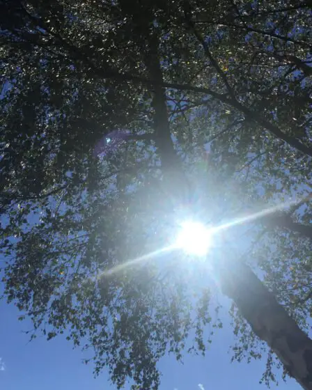 Le beau temps arrive dans une grande partie du pays - 25