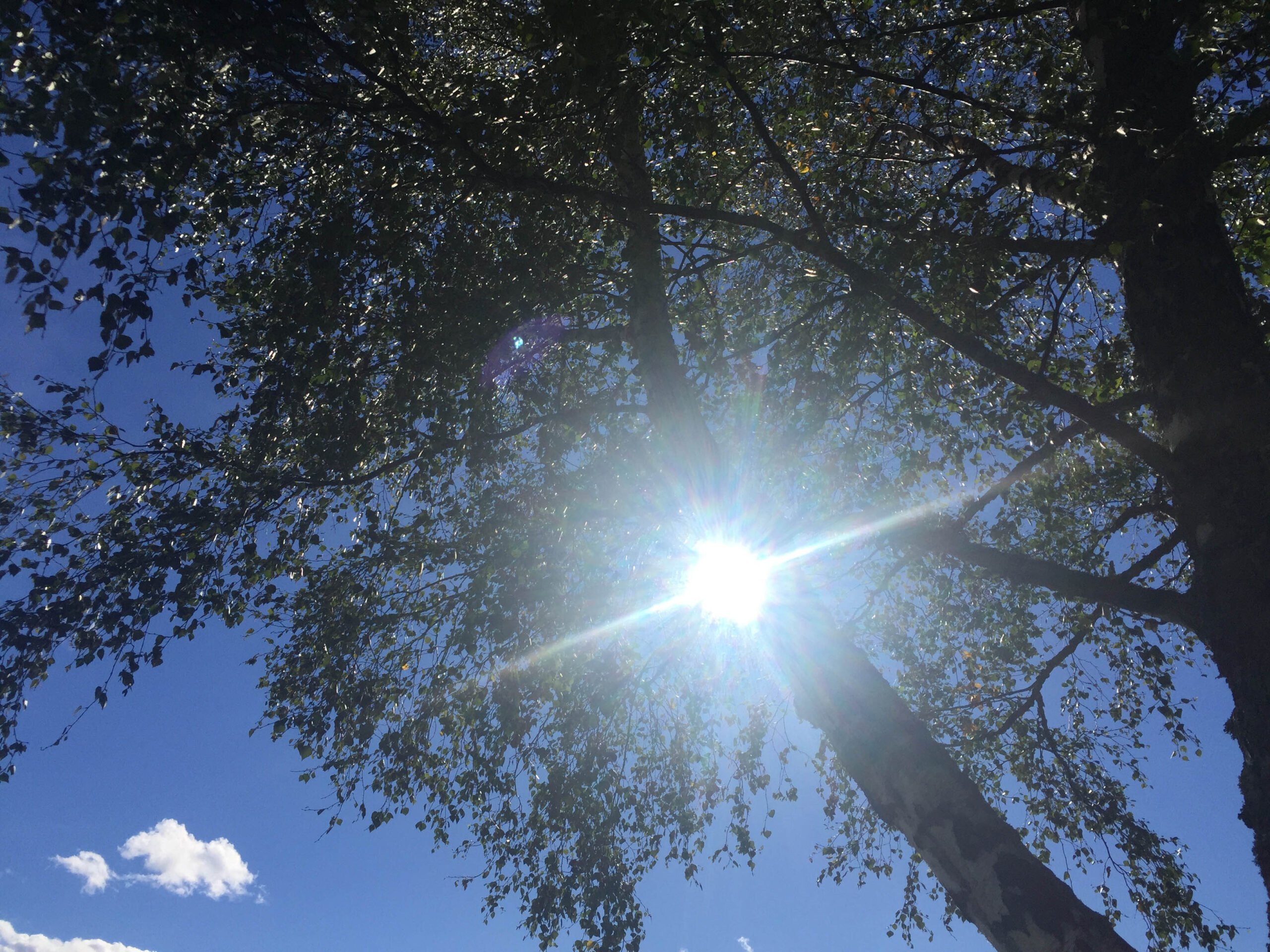 Record de chaleur le jour ensoleillé d'octobre - 3