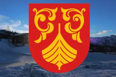 Nouveau bouclier héraldique du comté de Norvège - 16