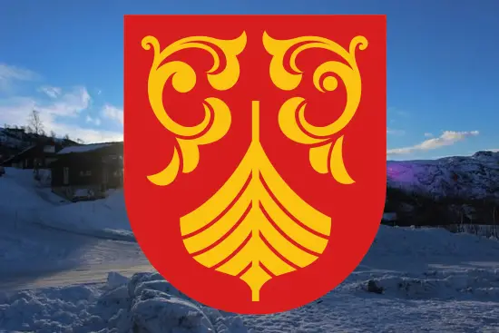 Nouveau bouclier héraldique du comté de Norvège 4 Nouveau bouclier héraldique du comté de Norvège - 3