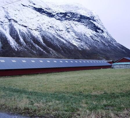 La proposition de fourrure du gouvernement est écorchée - Norway Today 20 La proposition de fourrure du gouvernement est écorchée - Norway Today - 19