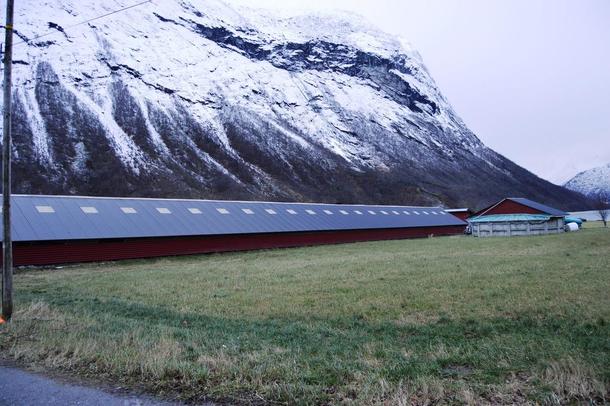 La proposition de fourrure du gouvernement est écorchée - Norway Today 4 La proposition de fourrure du gouvernement est écorchée - Norway Today - 3