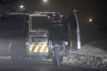 PHOTO: quatre jeunes hommes arrêtés à Sandefjord après un vol avec un couteau - 22