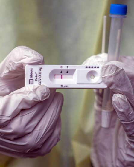 Inspection sanitaire danoise: les tests Corona rapides donnent des résultats incertains - 13