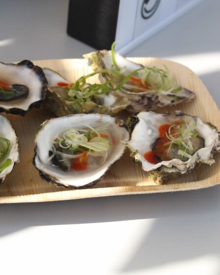 Évitez les huîtres crues du fjord d'Oslo 14 Évitez les huîtres crues du fjord d'Oslo - 13