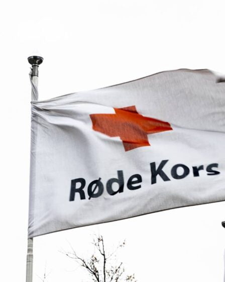 Croix-Rouge: les jeunes norvégiens se débattent à cause de la pandémie 5 Croix-Rouge: les jeunes norvégiens se débattent à cause de la pandémie - 4