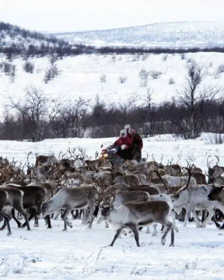 Bonne nouvelle: l'éleveur de rennes disparu du Finnmark a été retrouvé affamé et fatigué mais en sécurité 29 Bonne nouvelle: l'éleveur de rennes disparu du Finnmark a été retrouvé affamé et fatigué mais en sécurité - 28