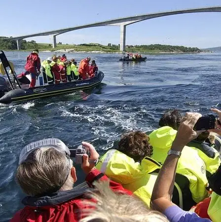 Saltstraumen - le courant de marée le plus puissant du monde 8 Saltstraumen - le courant de marée le plus puissant du monde - 7