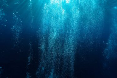 Vadsø: un plongeur disparu retrouvé mort sur le fond marin - 18