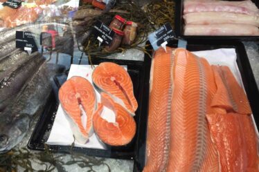 Le plus fort jamais enregistré en juillet pour les exportations norvégiennes de fruits de mer - 16