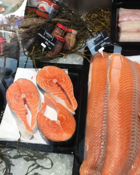 Les exportations norvégiennes de produits de la mer en 2017 dépassent nettement le niveau de l'an dernier - 1