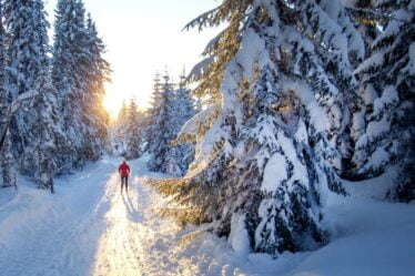 Record de chaleur enregistré en Norvège en février par ailleurs froid - 17