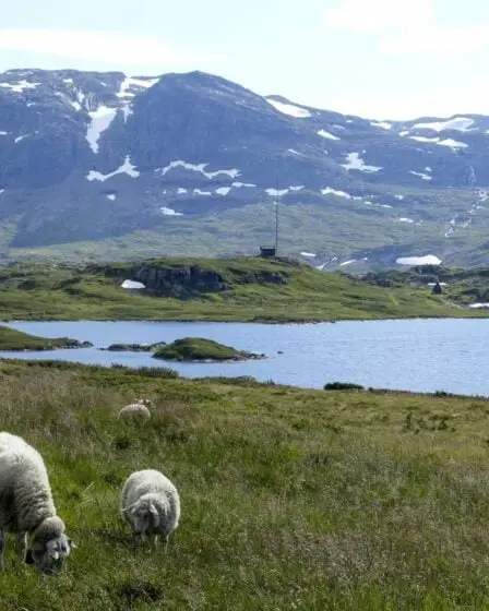 L'eau des lacs norvégiens est devenue moins polluée, mais aussi plus brune. Voici pourquoi 5 L'eau des lacs norvégiens est devenue moins polluée, mais aussi plus brune. Voici pourquoi - 4