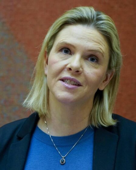 Progress Party appelle à une capacité de test accrue aux frontières de la Norvège: "Le virus muté a été importé" 11 Progress Party appelle à une capacité de test accrue aux frontières de la Norvège: "Le virus muté a été importé" - 10
