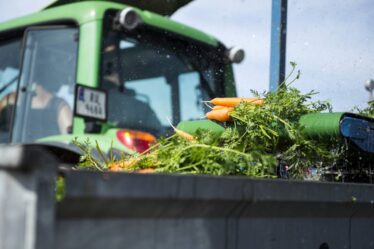 Les agriculteurs craignent une réduction de la production alimentaire en Norvège en raison du manque de travailleurs étrangers - 20